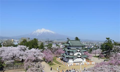 弘前公園（空撮/４月頃撮影）